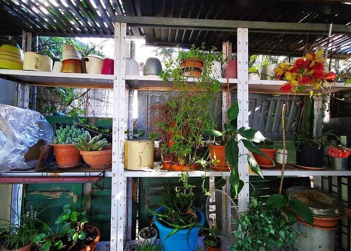 Apartment Anita Studio With Terrace *