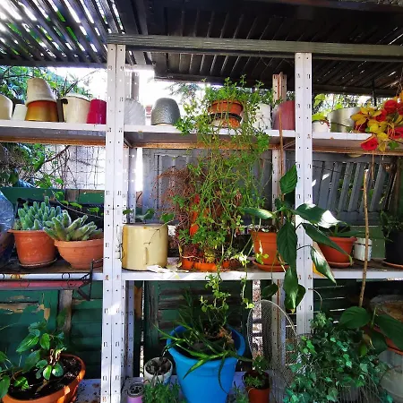 Apartman Anita Studio With Terrace *