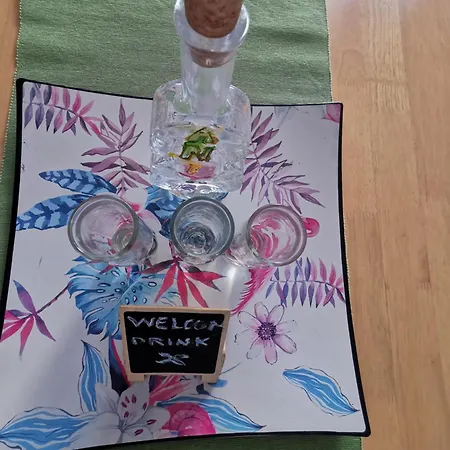 Anita Studio With Terrace